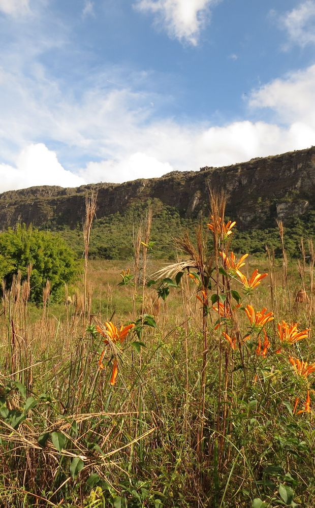 Serra de São José, Tiradentes